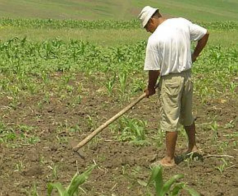 Agricultorii cer 200 de lei subventie la hectar