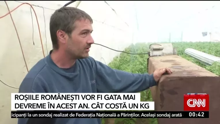 Cand ies pe piata rosiile romanesti! Cat costa un kg la tarabe