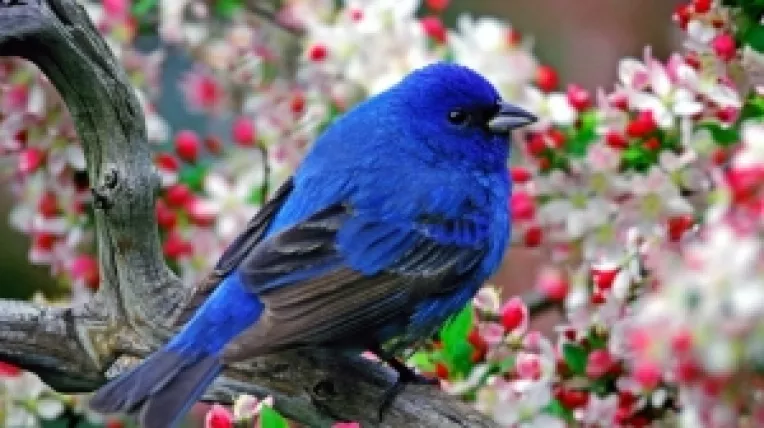 Horoscop: Saptamana 4-10 Aprilie 2016