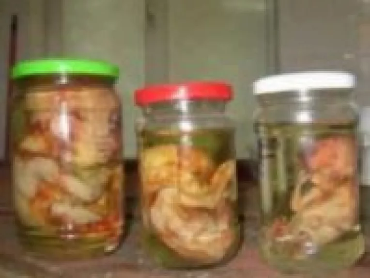 La Muzeul Antipa: Sindicalistii cer Guvernului sa se mute in formol