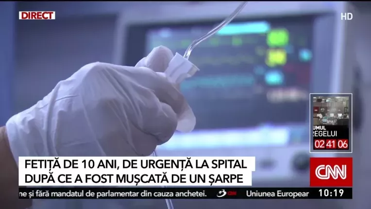 O fetita de 10 ani a ajuns la spital, dupa ce a fost muscata de un sarpe, in Bistrita-Nasaud