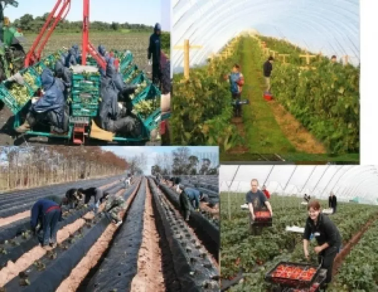 O mare greseala: Desfiintarea agriculturii cooperatiste