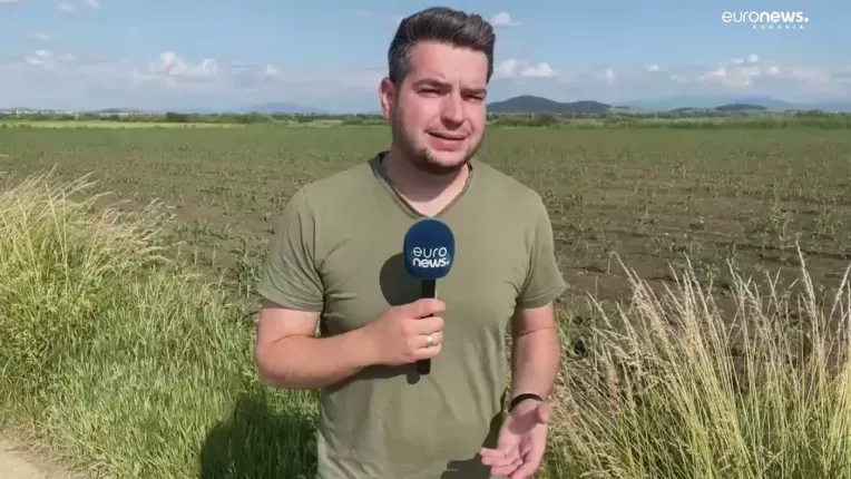 Oficialii de la Bruxelles vor sa vada care sunt problemele cu care se confrunta agricultorii romani