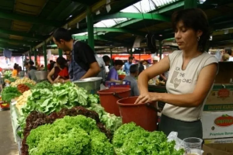 Piata Republica : La capatul magistralei 1 de metrou, Liviu Negoita va construi cea mai scumpa piata agroalimentara din Romania 