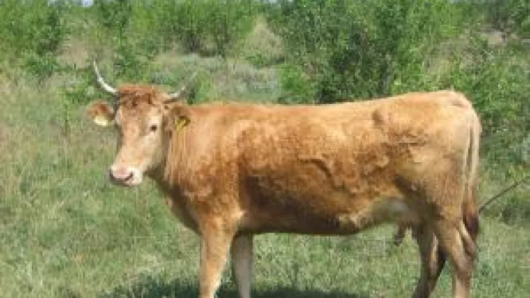 Producatorii agricoli ignora propriile interese