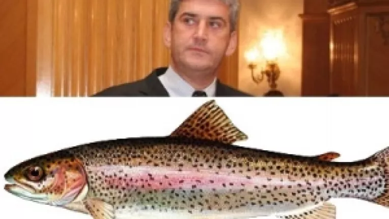 Senatorul Valer Marian il acuza pe ministrul Gabriel Oprea de nelegiuiri si neghiobii