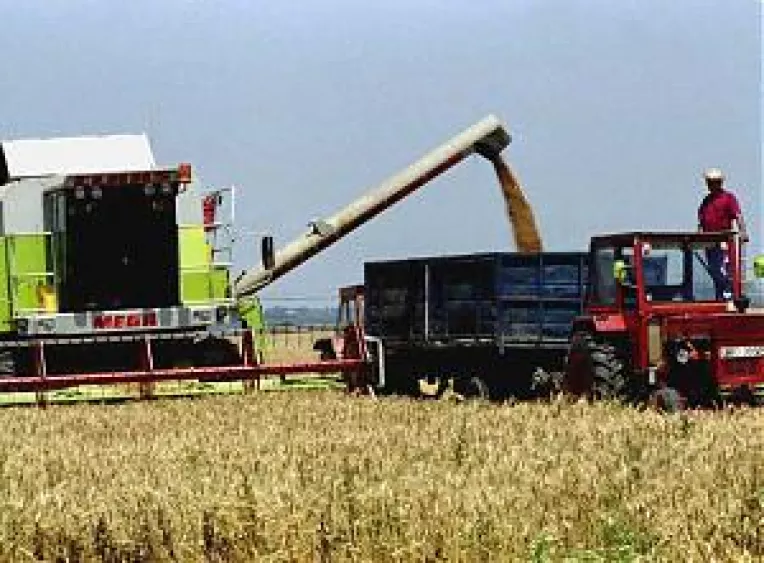 Subventii cerute pentru agricultura ecologica.